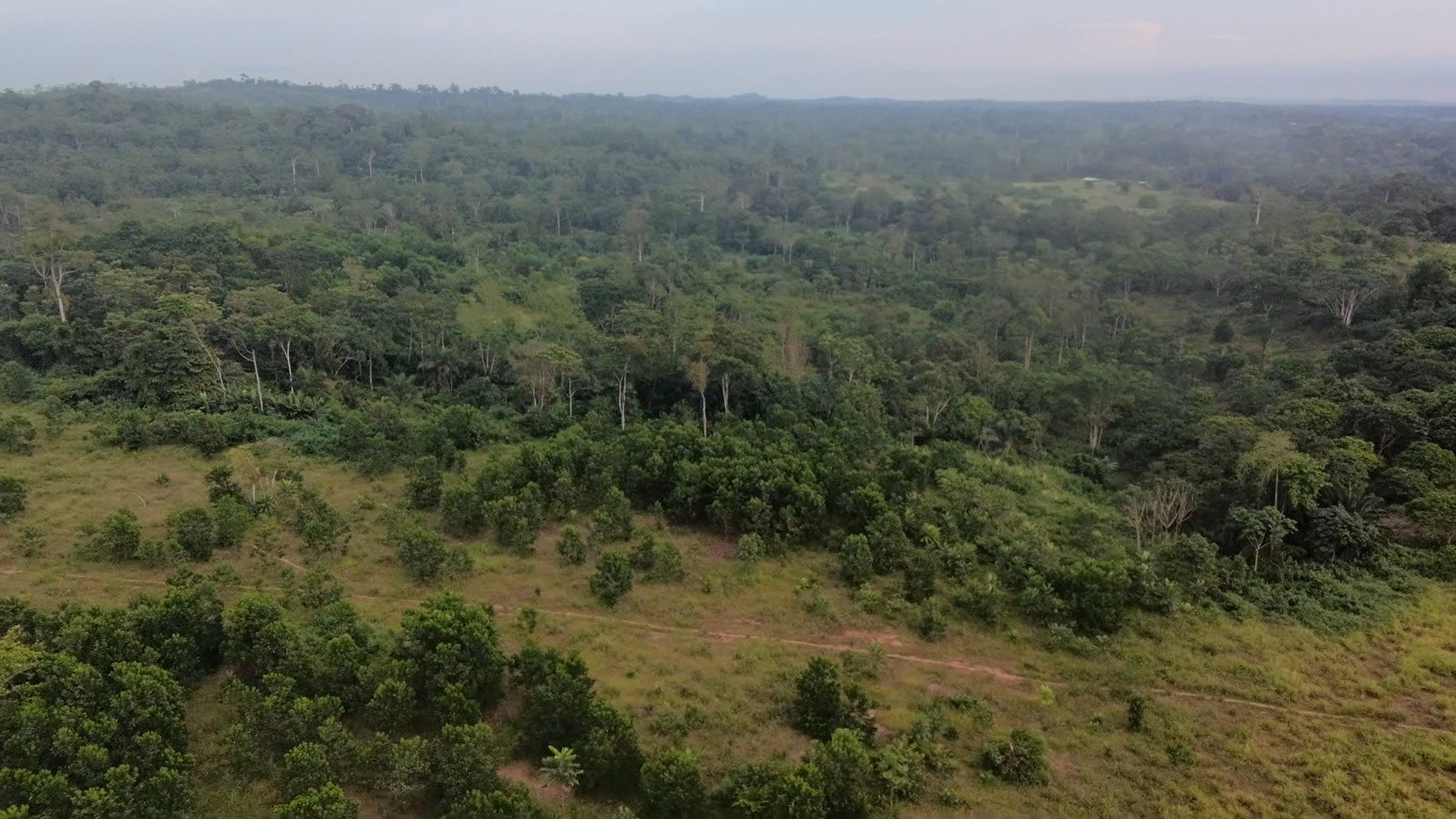 Aerial view of a forest landscape in Gabon.