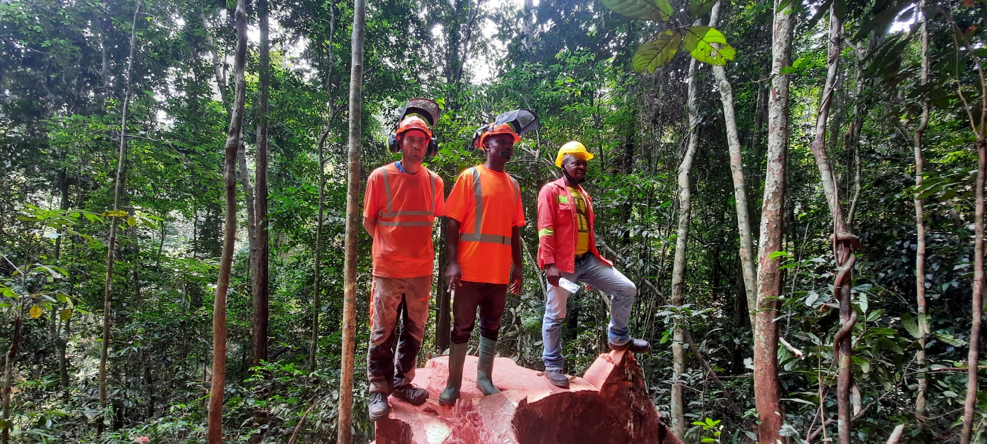 Grégory Mastorgio with a forestry team during a field assignment in Gabon.